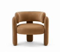 Fauteuil Design Arrondi